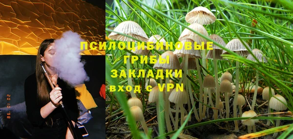кокс Няндома