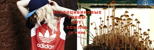 бошки Нягань