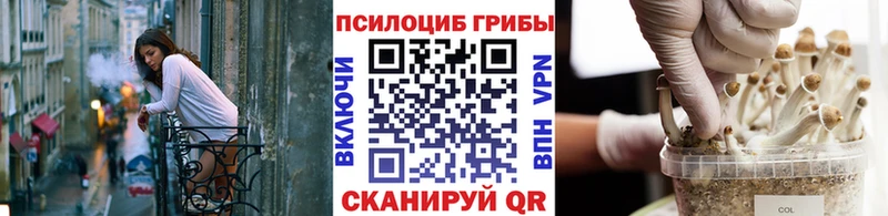 omg ссылки Новосибирск Псилоцибиновые грибы ЛСД